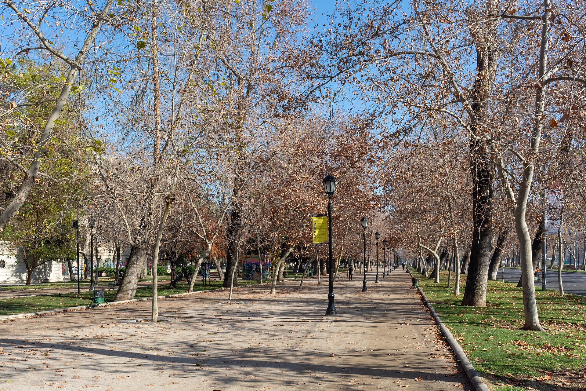 Parque Forestal