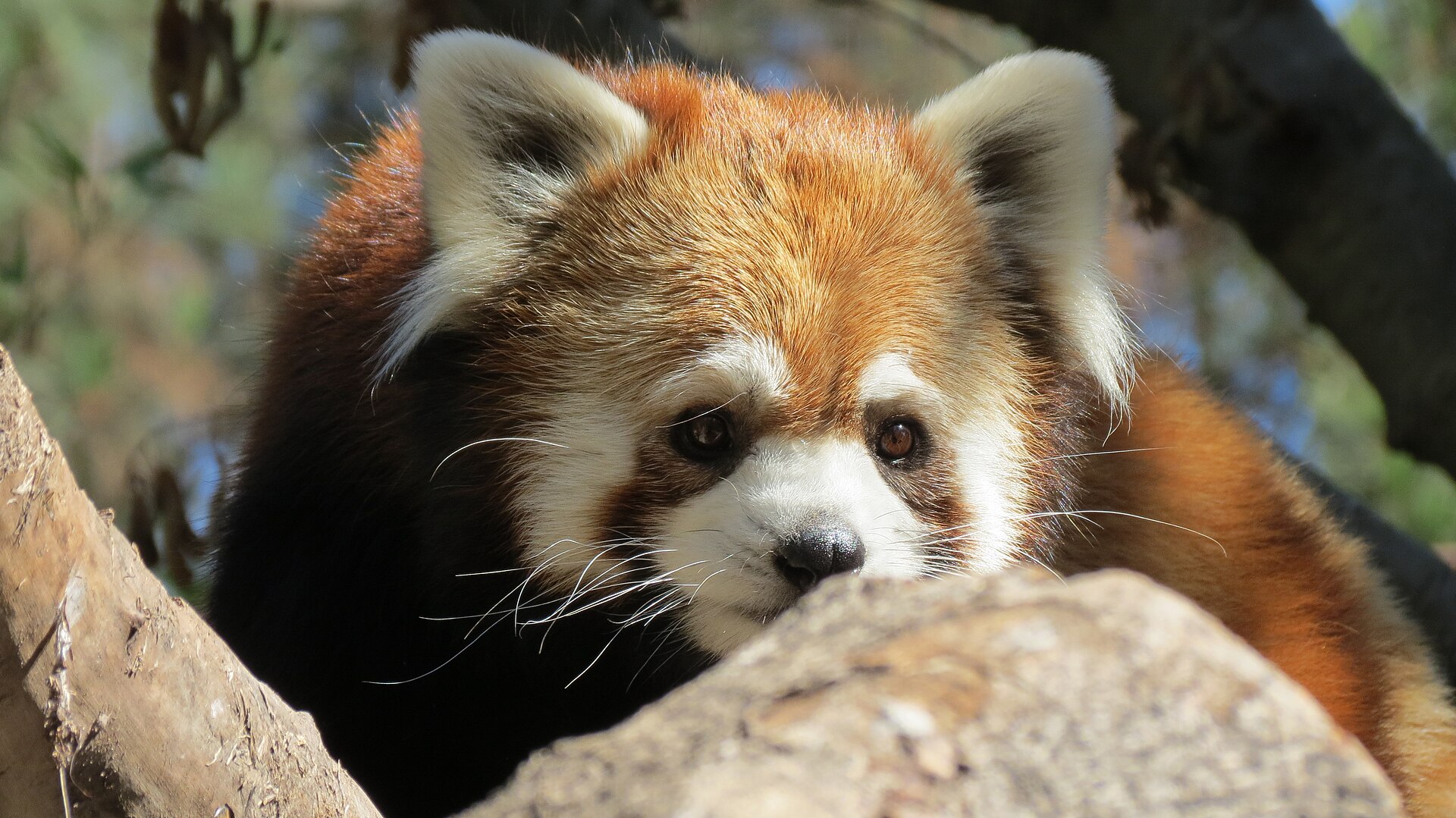 Bioparque Buin Zoo
