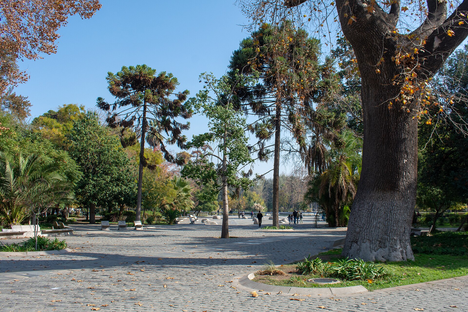 Parque Quinta Normal