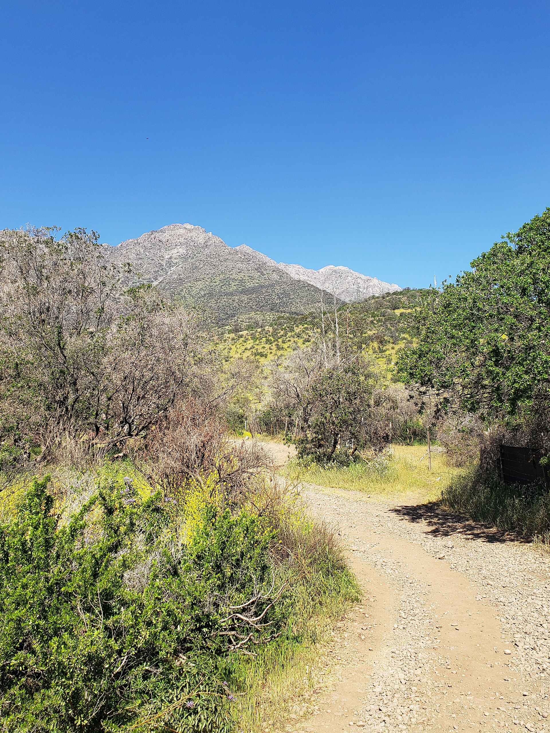 Parque Mahuida