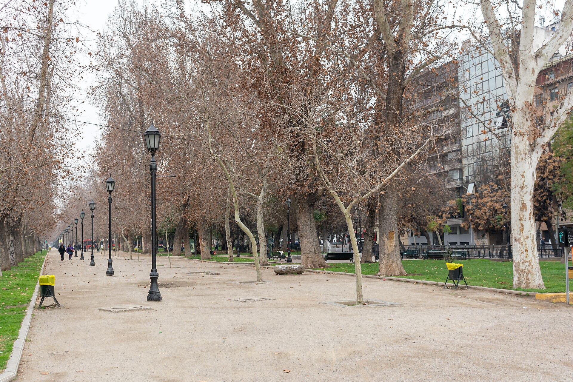 Parque Forestal
