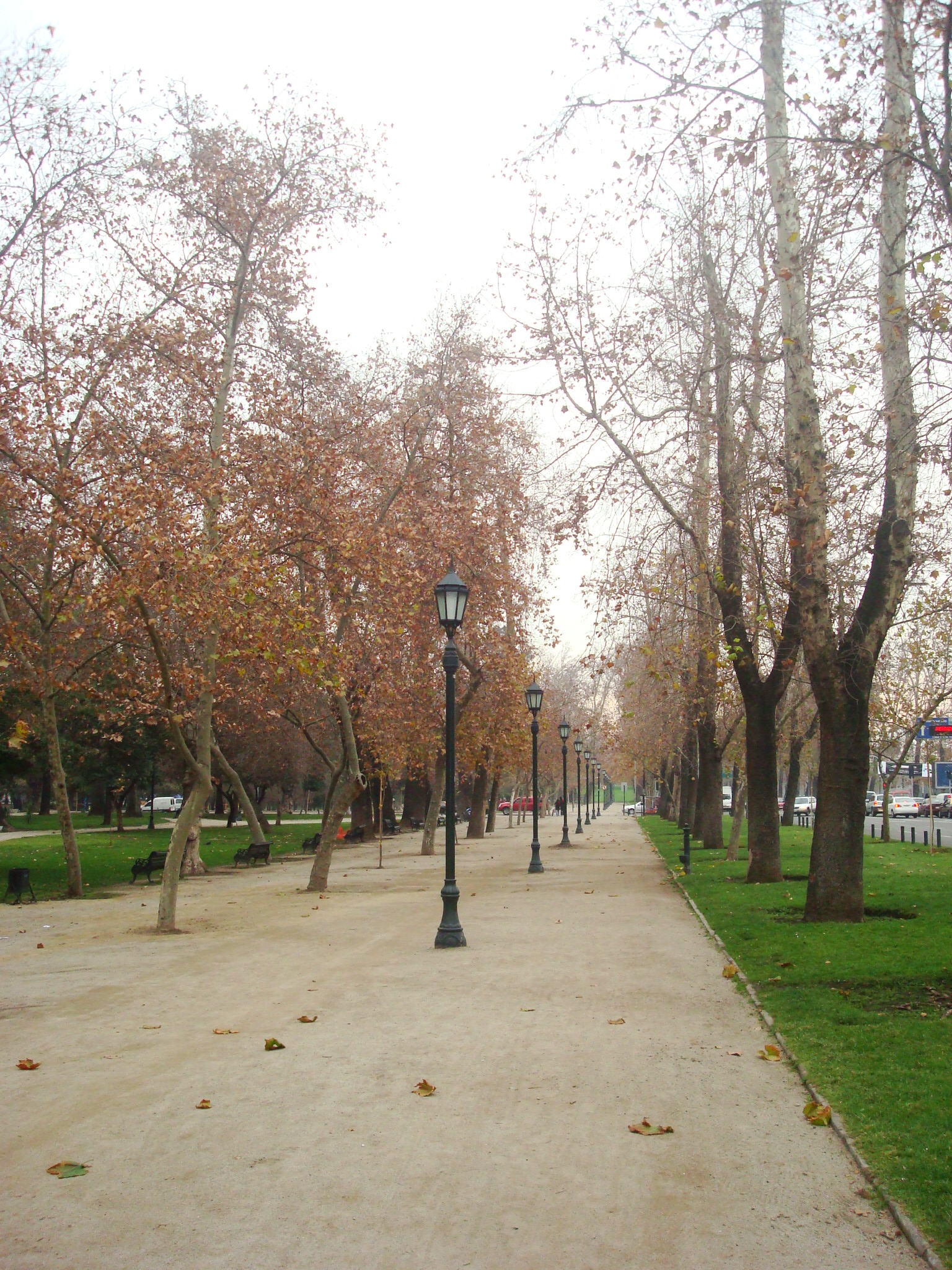Parque Forestal