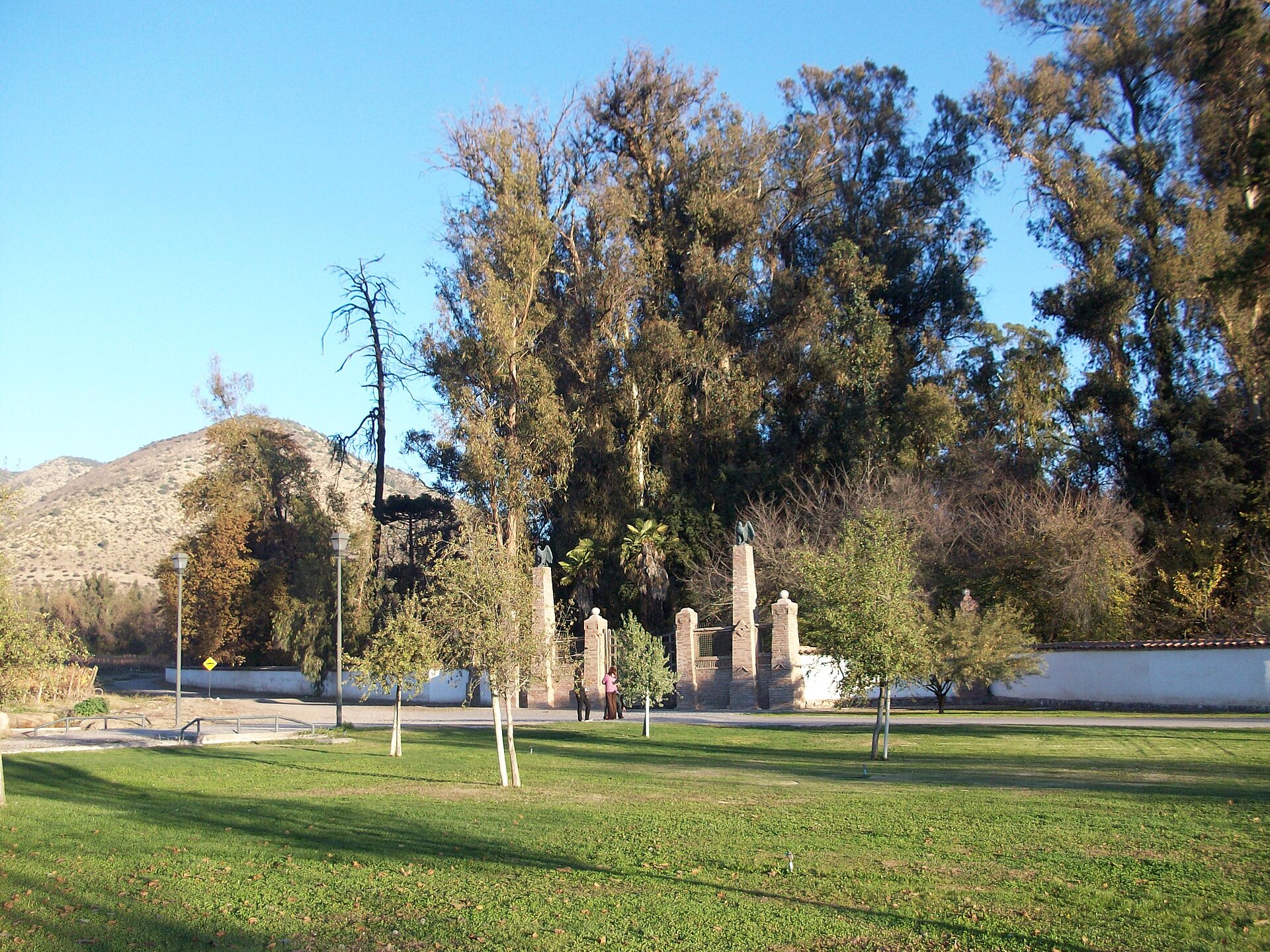 Museo Andino